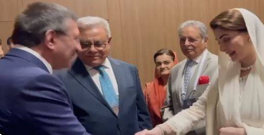 مریم نواز کی ترکیہ کے نائب صدر سے ملاقات، تعلیم اور معاشی تعاون بڑھانے پر اتفاق