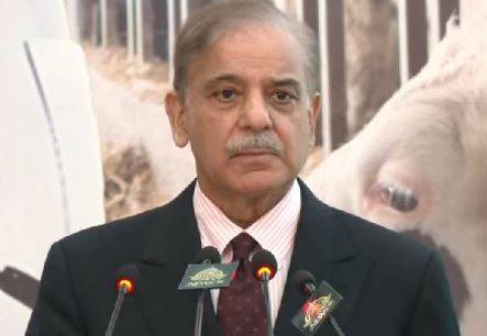 چین سےزرعی علوم حاصل کرنےوالےطلباکےتجربات سےفائدہ اٹھائیں گے ، وزیراعظم شہباز شریف 