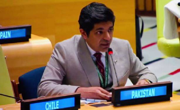  دہشت گردی اور حقِ خودارادیت کی جائز جدوجہد میں واضح فرق کرنا ضروری ہے، پاکستانی قونصلر جواد اجمل 