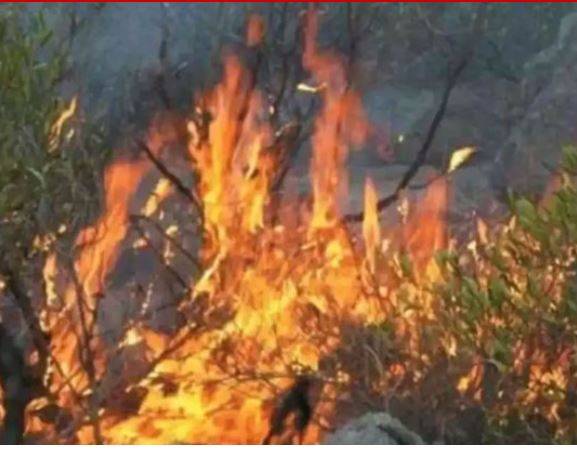 باٹا کے سرسبز پہاڑی سلسلے میں لگی آگ نے تیسرے روز بھی شدت اختیار کیے رکھی