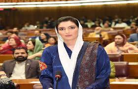 بلاول نے مشکل وقت میں پاکستان کی بہترین نمائندگی کی ہے ، آصفہ بھٹو 
