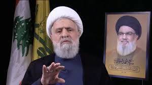 حزب اللہ ایران-اسرائیل تنازع میں اپنا راستہ خود چنے گی: نعیم قاسم