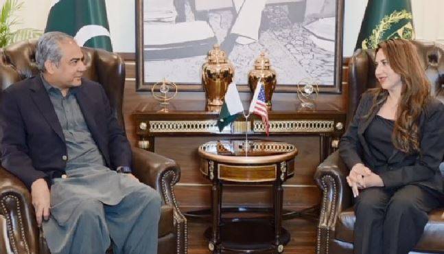 امید ہے ڈونلڈ ٹرمپ غزہ میں بھی جنگ بندی کرائیں گے، محسن نقوی