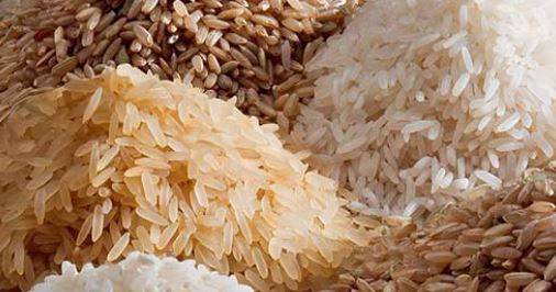 نیا ہائبرڈ چاول تیار، پیداوار میں تین گنا اضافہ متوقع