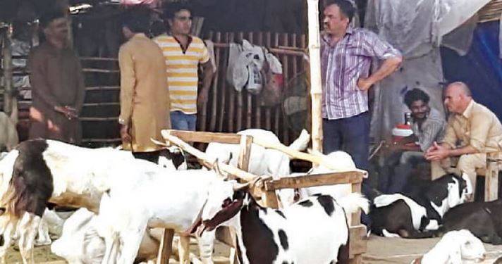 ملک میں جانوروں کی آبادی انسانوں کے برابر، ساتویں زرعی شماری کی رپورٹ جاری