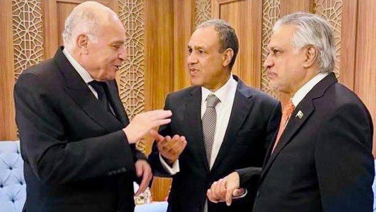 اسحاق ڈار کی مصر اور الجزائر کے وزرائے خارجہ سے ملاقات ، فلسطین کے مسئلے پر یکجہتی کا اظہار