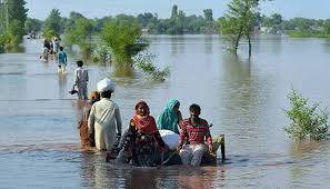 پنجاب میں سیلاب کی تباہ کاری،14 لاکھ 60 ہزار سے زیادہ لوگ متاثر ، 1692 گاؤں پانی میں ڈوب گئے 