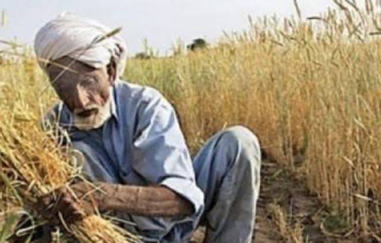 سندھ حکومت کی کسانوں کے لیے سہولتیں، بینظیر ہاری کارڈ اور سولر ڈرپ ایریگیشن کی منظوری