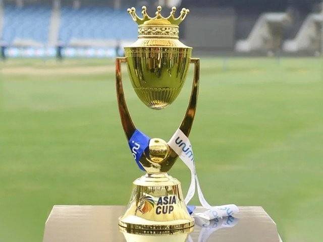 پاکستان کے خلاف ایشیا کپ فائنل سے قبل بھارتی بولنگ کوچ کی فٹنس پر تشویش