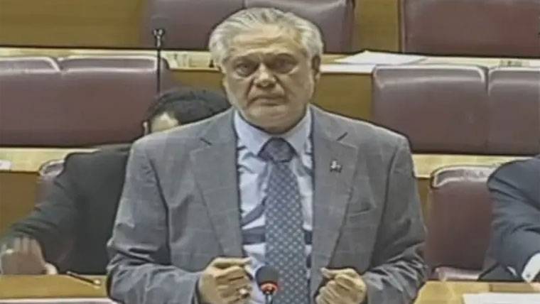 پاکستان کی فلسطین پر وہی پالیسی ہےجوقائداعظم کی ہے، اسحاق ڈار