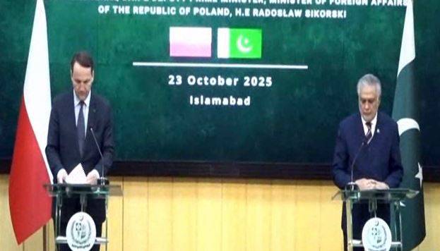  اسحاق ڈار کی پولینڈ کے وزیر خارجہ سے ملاقات ،تجارت، توانائی، دفاع اور تعلیم کے شعبوں میں تعاون بڑھانے پر اتفاق 