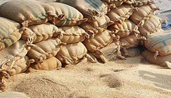 پنجاب میں انسانی خوراک کی ترجیح، مرغیوں کے دانے میں گندم کے استعمال پر پابندی 30 دن بڑھا دی گئی