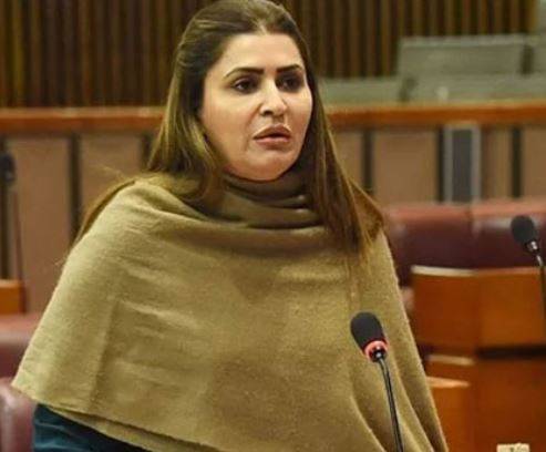 وزیراعظم نے 27 ویں آئینی ترمیم کی حمایت طلب کی، پیپلزپارٹی نے صوبوں کے حقوق کا موقف دہرادیا