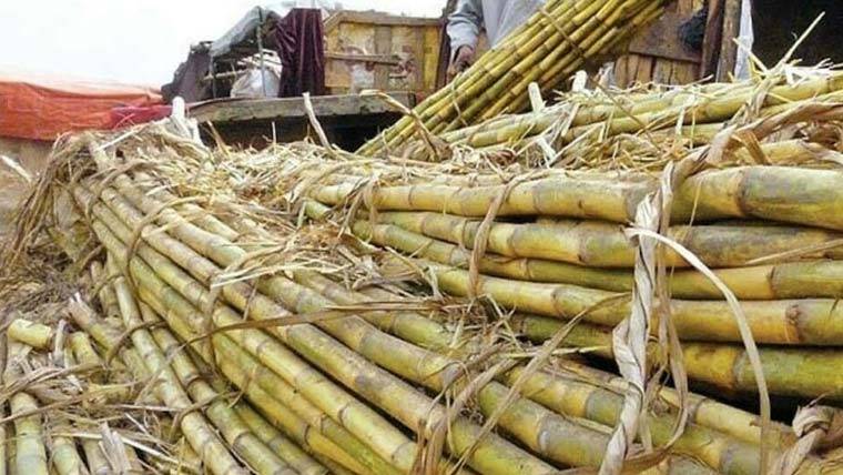 پنجاب میں کرشنگ نہ شروع کرنے والی شوگر ملوں کے خلاف کارروائی کا آغاز