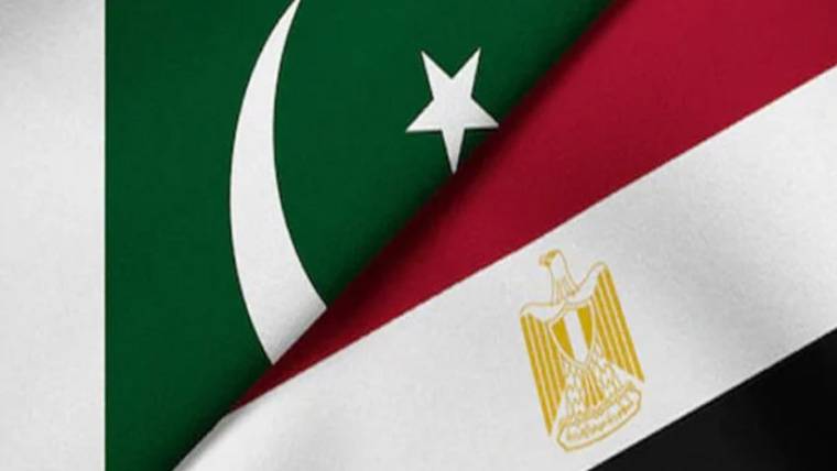 پاکستان اور مصر کی اقتصادی شراکت داری میں نئی پیشرفت: مشترکہ لائحہ عمل پر اتفاق
