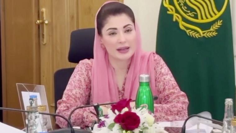 پنجاب میں شرمپ فارمنگ کا بڑا منصوبہ، زرعی اور معاشی ترقی کا نیا دور
