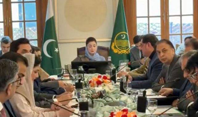 پنجاب کے ماڈل گاؤں منصوبے کے تحت 200 سے زائد گاؤں میں بنیادی سہولتوں کی فراہمی
