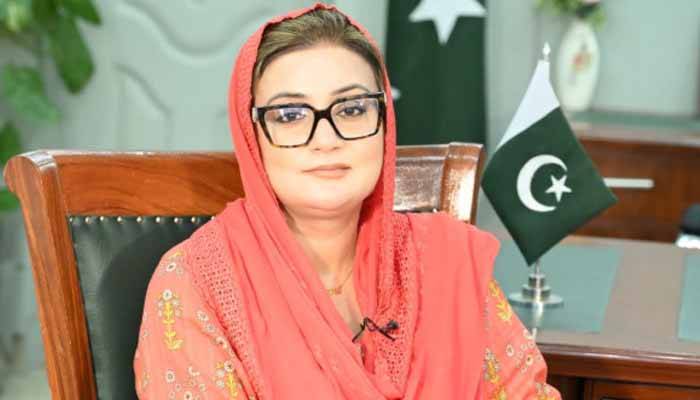 پنجاب میں بسنت کی رنگین خوشیاں، لاہور میں پتنگ بازی کی بہار
