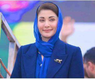  بسنت پر ڈور اور پتنگیں سستی اور معقول قیمت پر فروخت ہونی چاہیں: وزیر اعلیٰ پنجاب مریم نواز