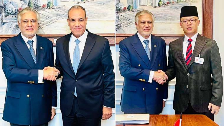 نائب وزیراعظم اسحاق ڈار کی انڈونیشیا اور مصر کے وفود سے ملاقاتیں، غزہ کی صورتحال پر تبادلہ خیال