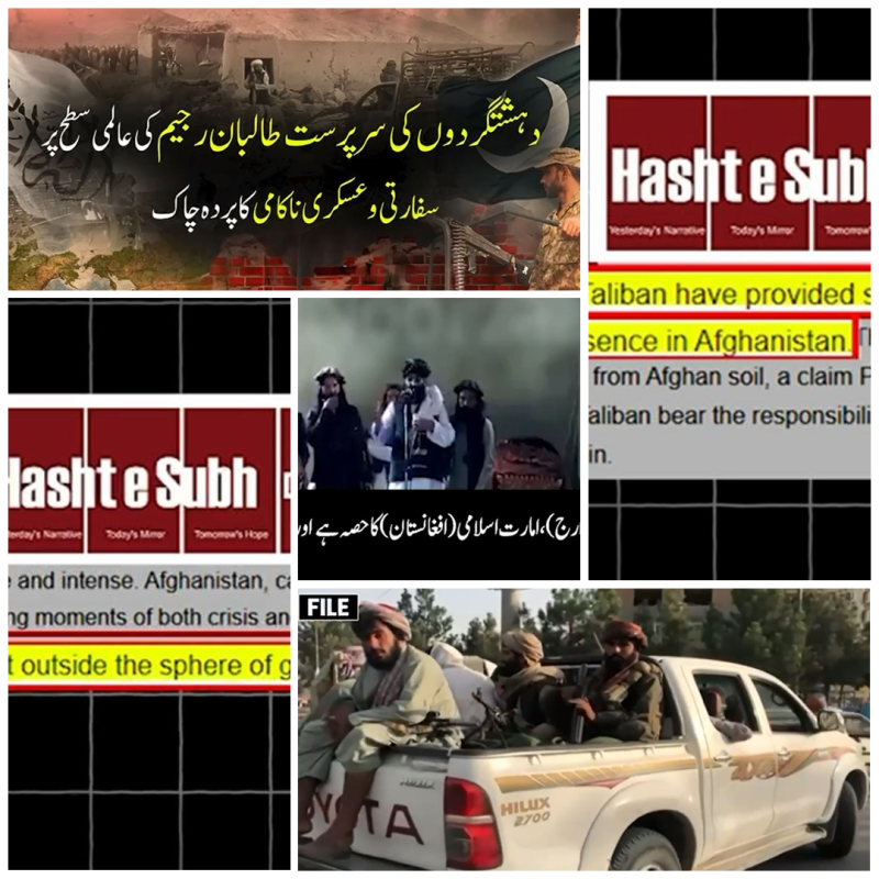 سرحد پار دہشت گردی کا فروغ طالبان کے لیے گلے کا طوق: افغان جریدے نے 