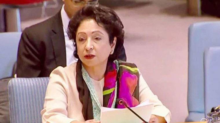  ٹرمپ پر مذاکرات میں اعتماد نہیں، جنگ کا خطرہ موجود رہتا ہے ، ملیحہ لودھی