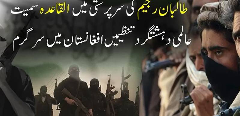 افغان طالبان اور فتنۃ الخوارج کا خطرناک گٹھ جوڑ بے نقاب: عالمی جریدے کے سنسنی خیز انکشافات