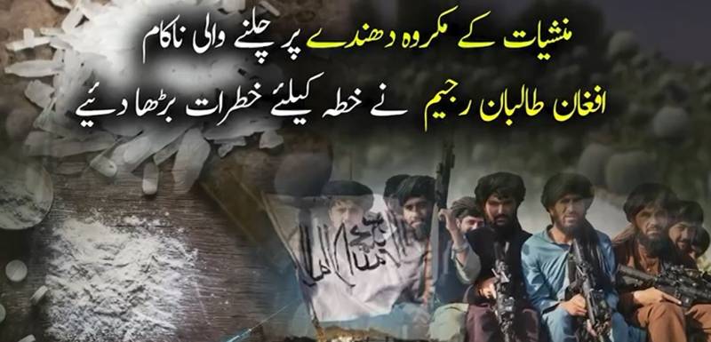 افغانستان منشیات کی اسمگلنگ کا عالمی مرکز بن گیا؛ طالبان رجیم خطے کی سلامتی کے لیے بڑا چیلنج