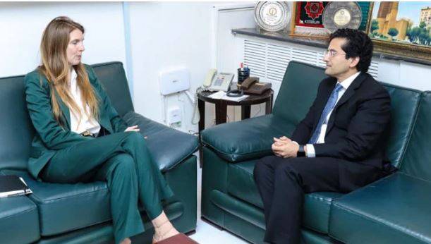جین میریٹ اور علی پرویز ملک کی ملاقات، برطانیہ نے پاکستان کے امن اقدامات کو سراہا