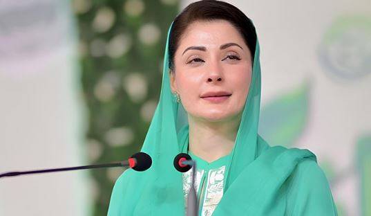 پنجاب میں کرایوں کے مسائل حل کرنے کے لیے فری ٹرانسپورٹ منصوبہ شروع کرنے کا فیصلہ