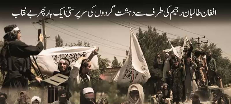 افغانستان دہشت گردوں کا گڑھ بن گیا؛ طالبان اور فتنہ الخوارج میں خودکش حملہ آوروں کے تبادلے کا لرزہ خیز انکشاف