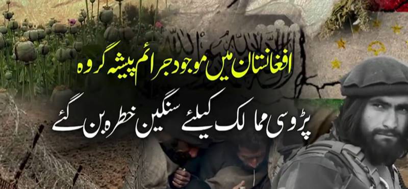 افغان طالبان کی ’جرائم دوست‘ پالیسی: وسطی ایشیا کی سلامتی داؤ پر، تاجک فورسز کی کارروائی میں 2 افغان ہلاک