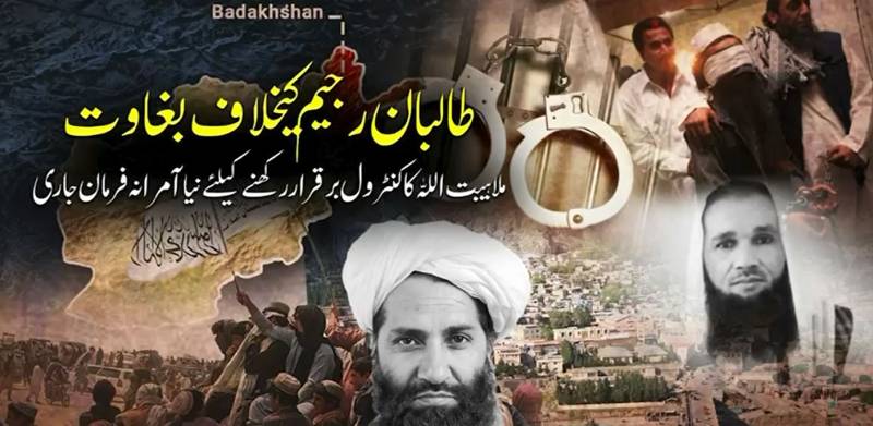 افغان طالبان رجیم کو اندرونی بغاوت کا سامنا، امیر ملا ہیبت اللہ کا باغی کمانڈروں کو کچلنے کا ہنگامی حکم