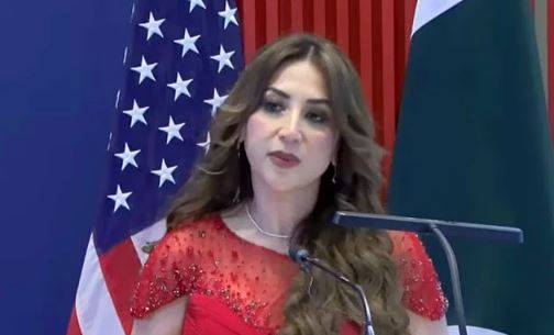 پاکستان اور امریکا کی شراکت داری جذبے اور اعتماد پر قائم ہے: امریکی عہدیدار