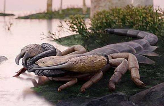برطانیہ میں 41 کروڑ سال پرانے بچھو کے آثار دریافت