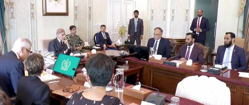 ایچ آئی وی اور ملیریا کا خاتمہ: وزیراعظم شہباز شریف کی گلوبل فنڈ کے ساتھ مل کر 'مشترکہ ورکنگ گروپ' بنانے کی منظوری