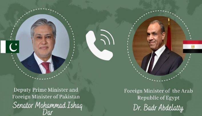 پاکستان اور مصر کے وزرائے خارجہ کے درمیان اہم گفتگو