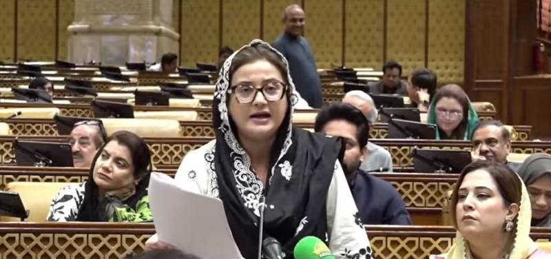 دسمبر تک پنجاب کی کوئی تحصیل الیکٹرک بس سے خالی نہیں ہوگی