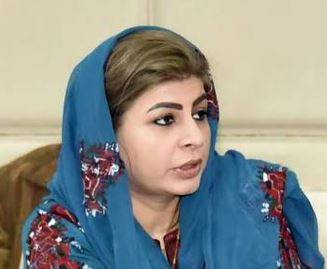 اقوام متحدہ بی ایل اے کے خلاف مؤثر اقدامات کرے، سینیٹر ثمینہ ممتاز زہری
