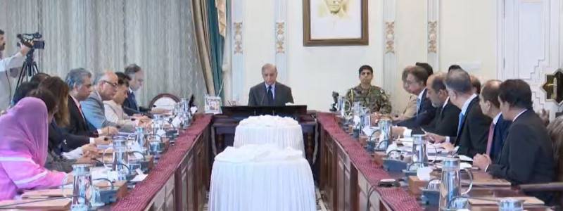 شہباز شریف کا آبادی میں توازن کے لیے مؤثر حکمت عملی اپنانے پر زور، صوبوں سے تعاون بڑھانے کی ہدایت