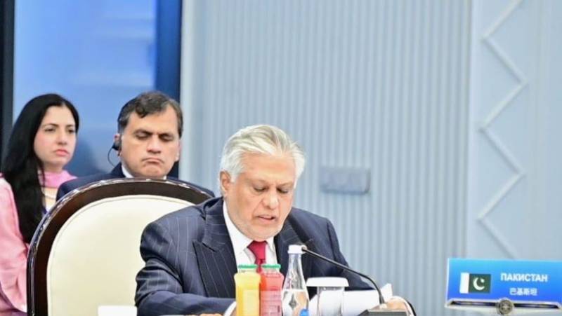 اسحاق ڈار کا ایس سی او اجلاس سے خطاب، علاقائی امن کے لیے مشترکہ کوششوں پر زور