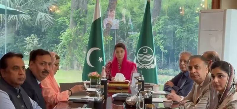 مریم نواز کا گرین انڈسٹریل زون منصوبے کی حمایت کا اعلان، سرمایہ کاروں کے لیے خصوصی پیکج تیار