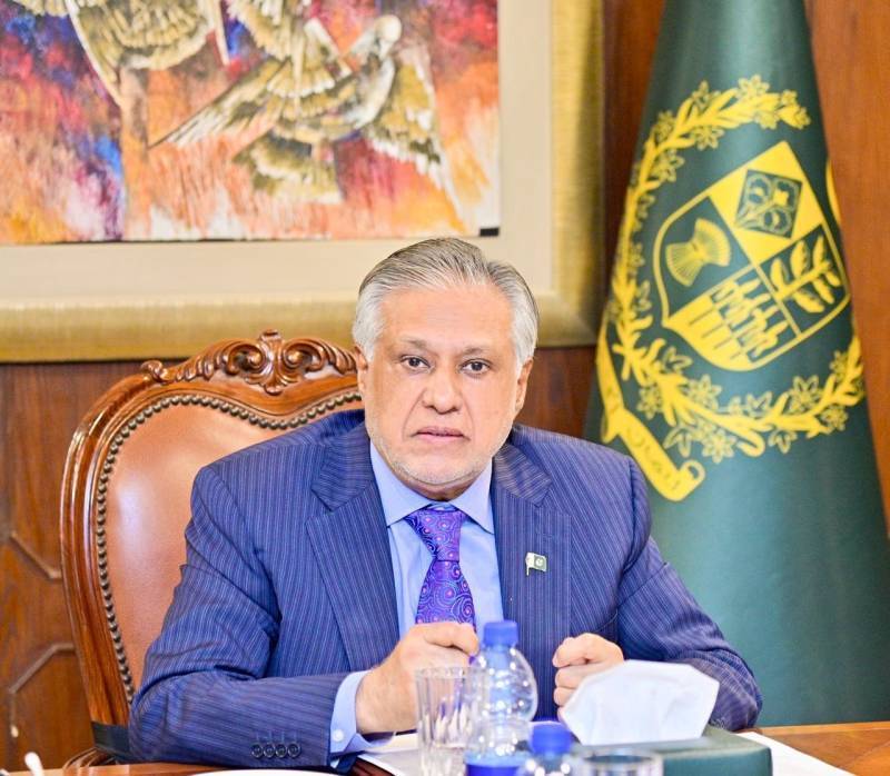 غزہ بحران پر عرب و مسلم دنیا کو ایک مؤثر کردار ادا کرنا ہوگا: اسحاق ڈار
