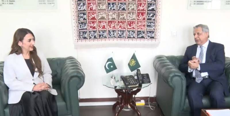 اعظم نذیر تارڑ سے امریکی ناظم الامور کی ملاقات، پاک امریکا تعلقات مزید مضبوط بنانے پر اتفاق