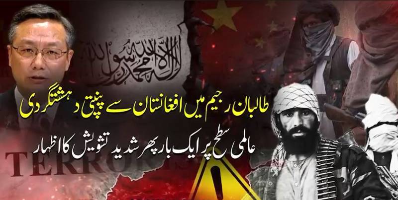 افغانستان میں دہشتگرد گروہوں کی موجودگی پر اقوام متحدہ میں تشویش، خطے کو خطرات لاحق