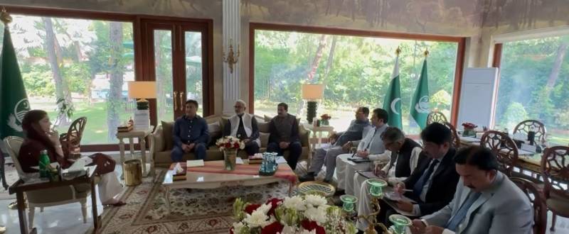 وہاڑی، ملتان روڈ منصوبہ گیم چینجر ثابت ہوگا: ارکان اسمبلی کی وزیراعلیٰ سے ملاقات