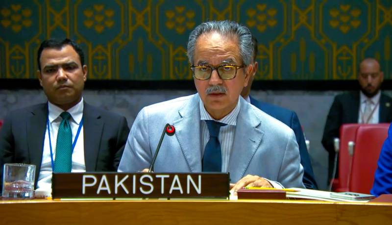 غذائی بحران کا مستقل حل امن میں ہے: پاکستان کا سلامتی کونسل پر تنازعات کے حل پر زور