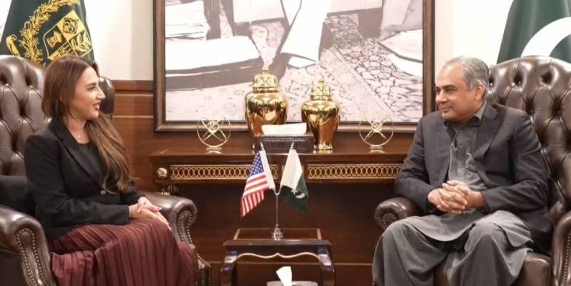 پاک امریکا تعلقات میں تعاون بڑھانے پر اتفاق، محسن نقوی کی امریکی سفیر سے ملاقات