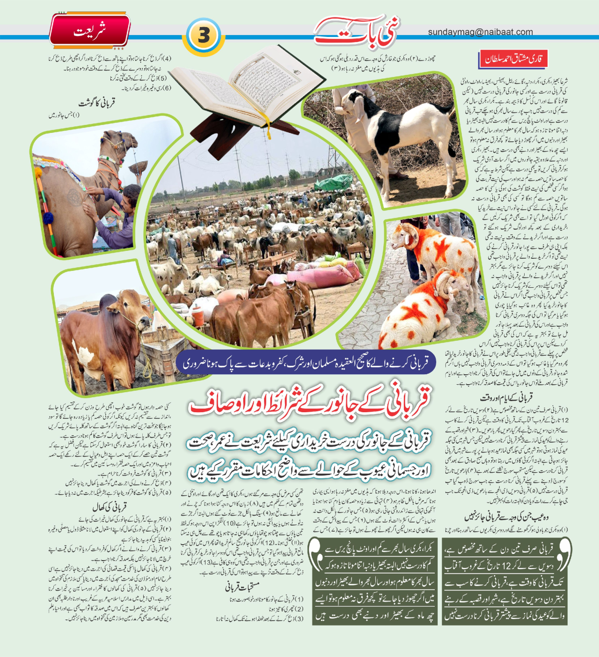 epaper_image
