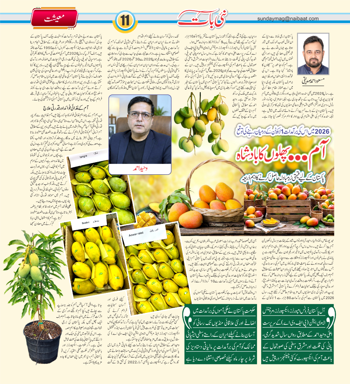 epaper_image